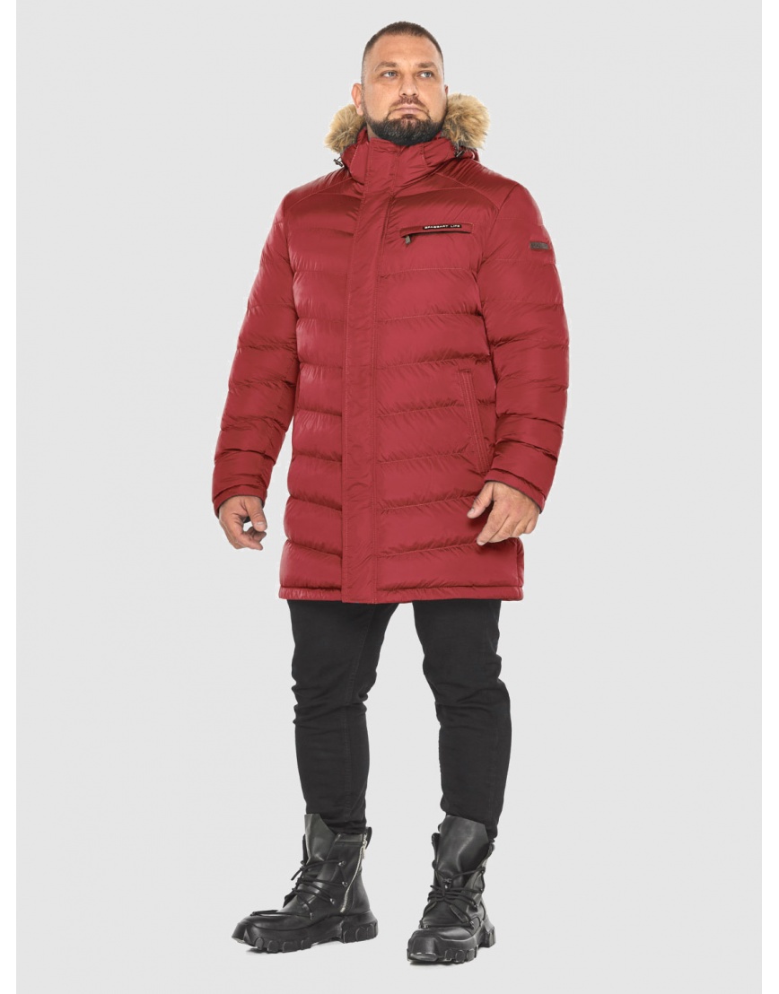 Бордовая куртка мужская Braggart модель 49718 фото 1